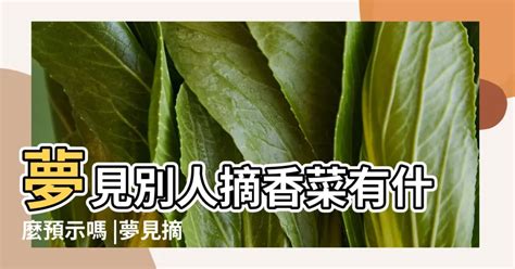 夢見別人掃墓|夢見別人掃墓預示什麼？